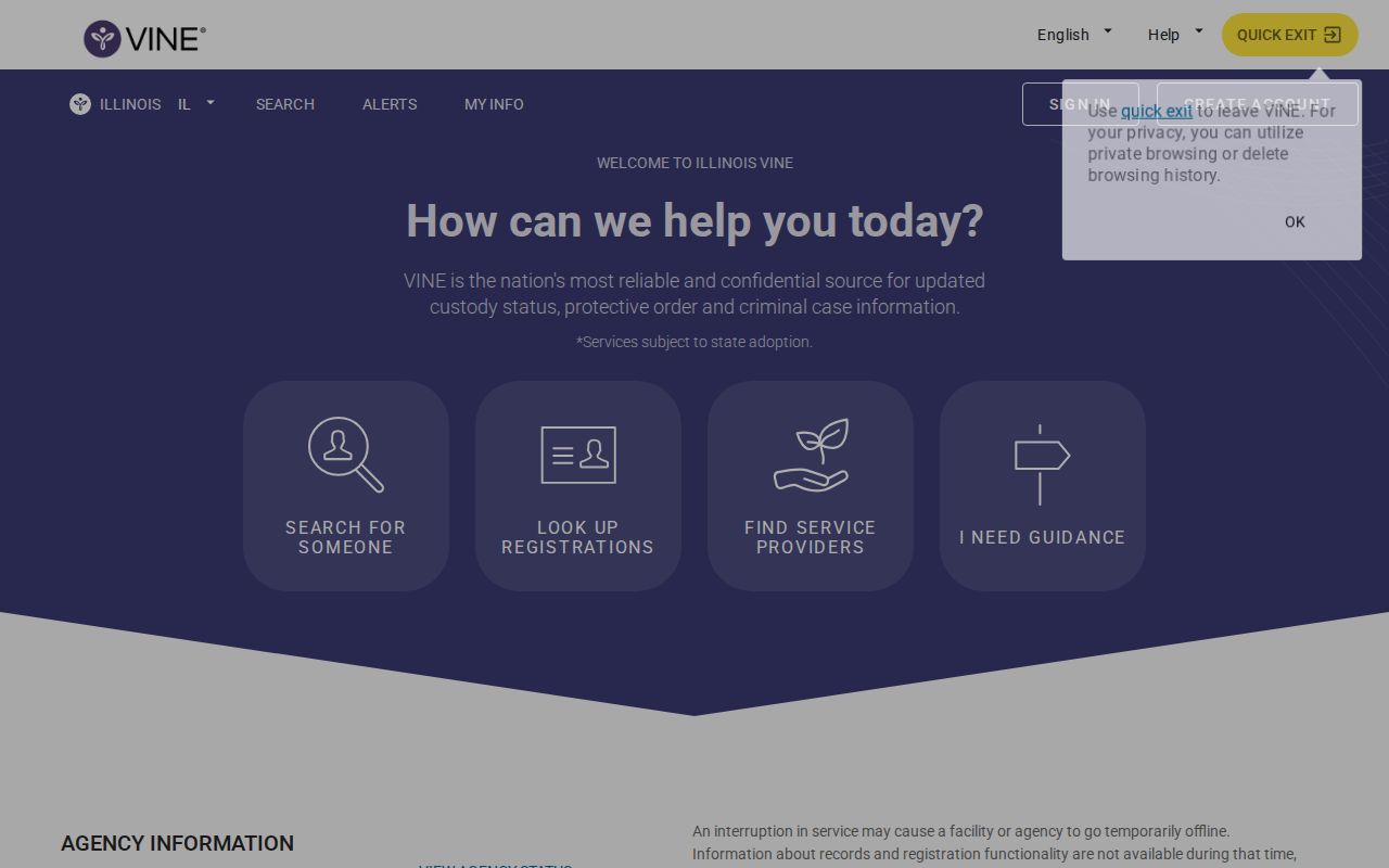 Illinois VINE state and county custody search controls